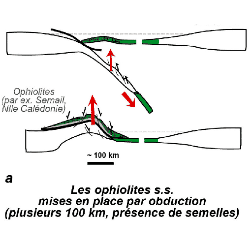 agard-2021_ophiolites_subduction_obduction_2