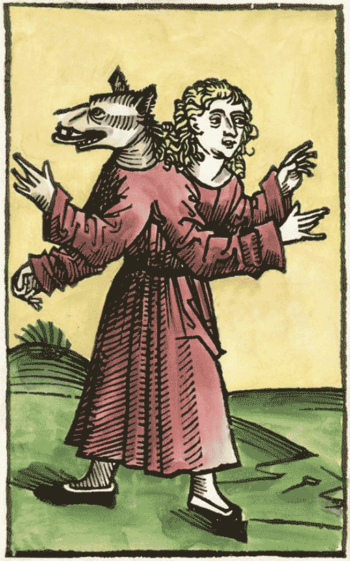 loup_garou_schedel-1493