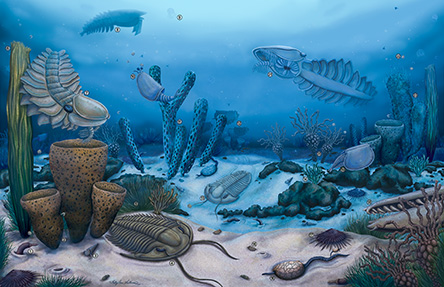 cambrian_marjum_biota