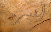 Rhinoceros - grotte de Coliboaia